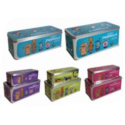 Le Comptoir des Tendances - Boîte à Pharmacie - petite 24X9x8cm