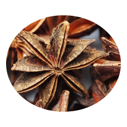 L'HERBOTHICAIRE - BADIANE OU ANIS ETOILE - 80g