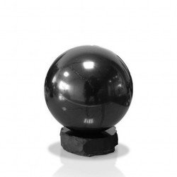 Dr THEISS - SHUNGITE sphère protection maison  10cm