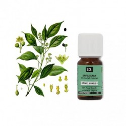 LCA - RAVINTSARA Huile Essentielle BIO - 10ml
