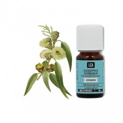 LCA - EUCALYPTUS GLOBULEUX Huile Essentielle BIO - 10ml