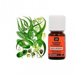 LCA - EUCALYPTUS CITRONNE Huile Essentielle - 10ML