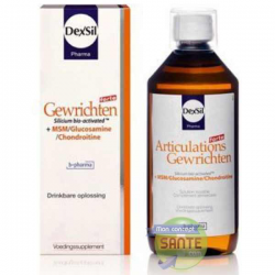 Dexsil - ARTICULATIONS + MSM/Glucosamine Chondroïtine  – SOLUTION BUVABLE - 1000 ml