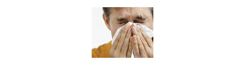 Solutions contre rhume et rhinite - Parapharmacie en ligne