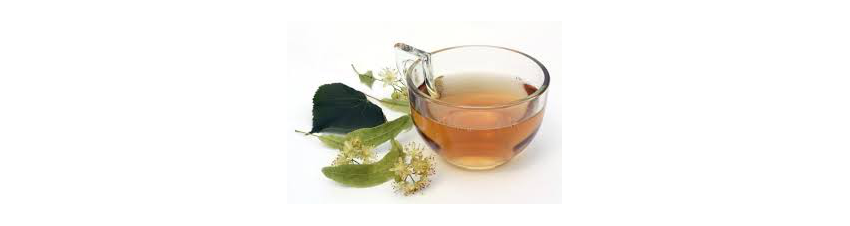 Thé et tisane bio - Produits parapharmaceutiques