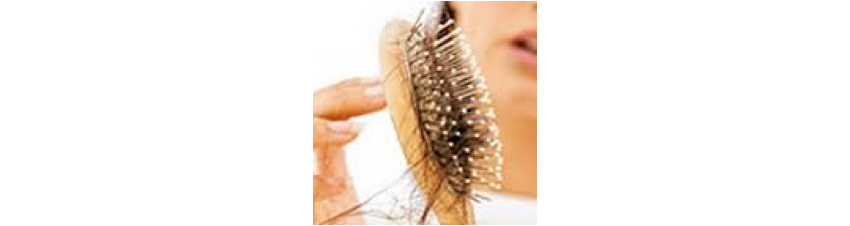 Traitement chute des cheveux - Parapharmacie