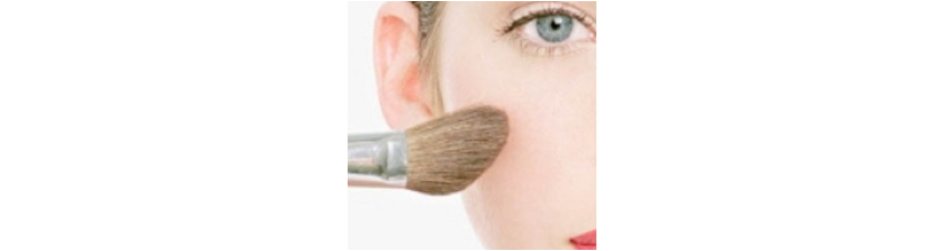 Fond de teint en poudre et blush - Vente en ligne