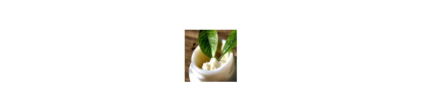 Gels douche, savons et shampoings bio en ligne